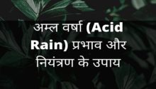 अम्ल वर्षा (Acid Rain) प्रभाव और नियंत्रण के उपाय